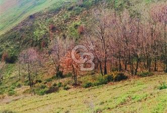 BALIKESİR'DE 43.400 m2 MARJİNAL ARAZİ - 1 - 341892