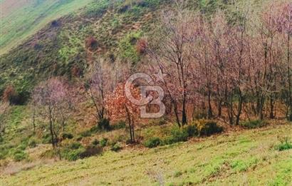 BALIKESİR'DE 43.400 m2 MARJİNAL ARAZİ