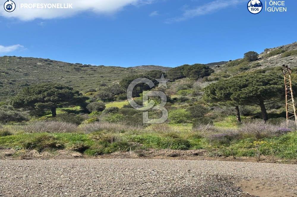 Karaburun Hasseki'de 9330 m² Satılık Tarla