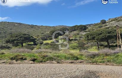 Karaburun Hasseki'de 9330 m² Satılık Tarla