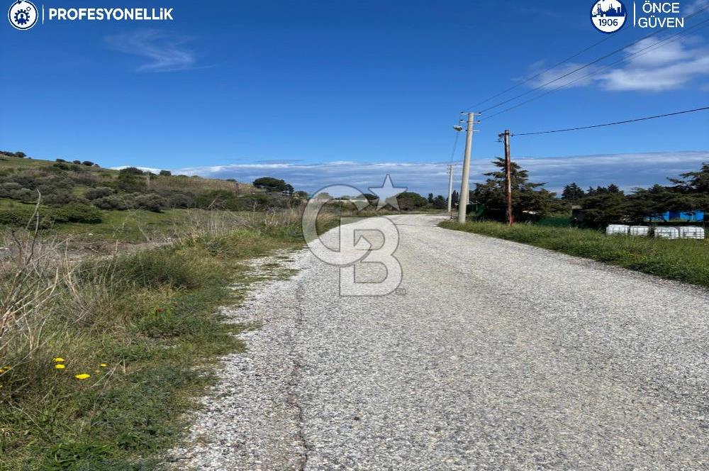 Karaburun Hasseki'de 9330 m² Satılık Tarla