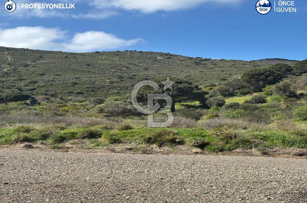 Karaburun Hasseki'de 9330 m² Satılık Tarla