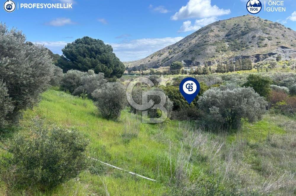 Karaburun Hasseki'de 9330 m² Satılık Tarla