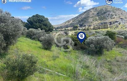 Karaburun Hasseki'de 9330 m² Satılık Tarla