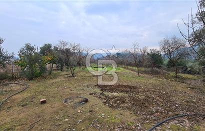 İzmir Menderes Çile' de 6503 m2 Satılık Tarla
