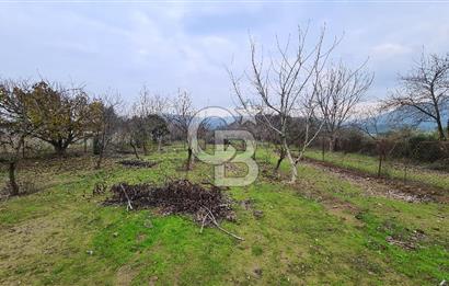 İzmir Menderes Çile' de 6503 m2 Satılık Tarla