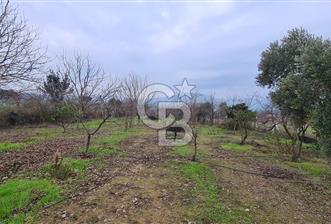 İzmir Menderes Çile' de 6503 m2 Satılık Tarla - 1 - 341884