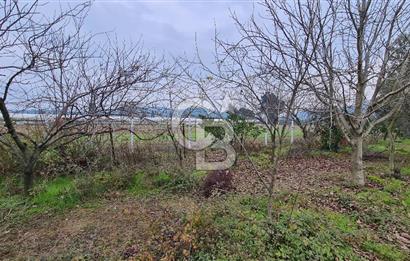 İzmir Menderes Çile' de 6503 m2 Satılık Tarla