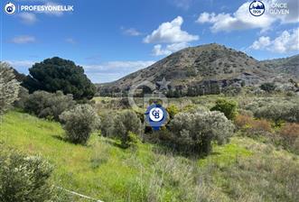 Karaburun Hasseki'de 9330 m² Satılık Tarla - 2 - 341922