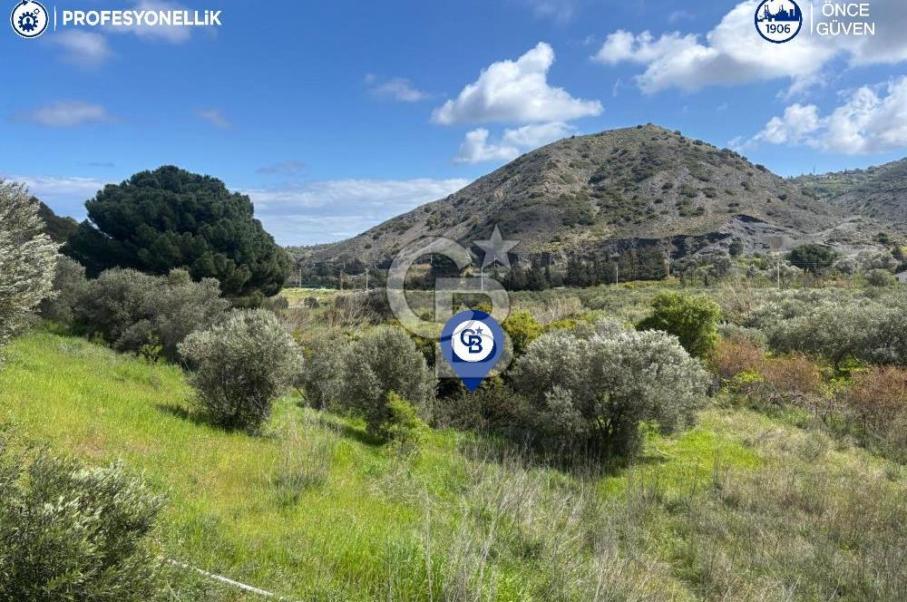 Karaburun Hasseki'de 9330 m² Satılık Tarla