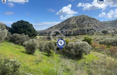 Karaburun Hasseki'de 9330 m² Satılık Tarla