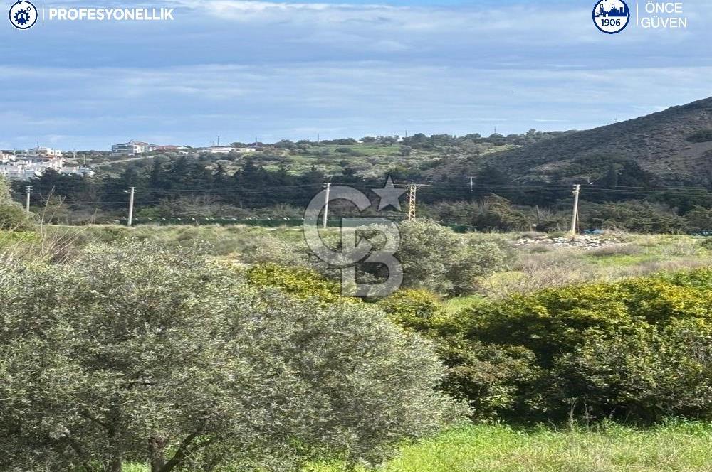 Karaburun Hasseki'de 9330 m² Satılık Tarla