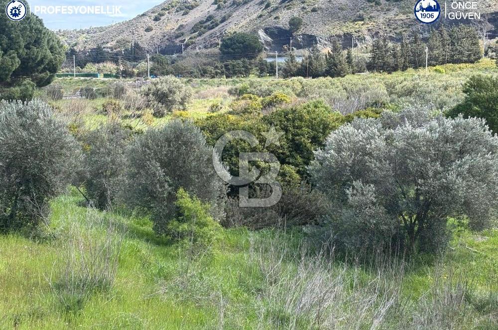 Karaburun Hasseki'de 9330 m² Satılık Tarla