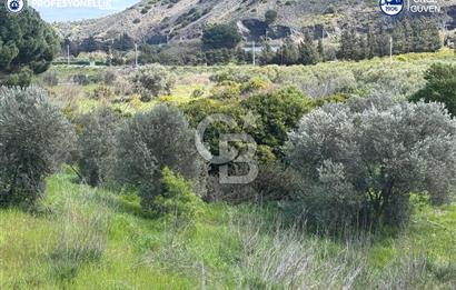 Karaburun Hasseki'de 9330 m² Satılık Tarla