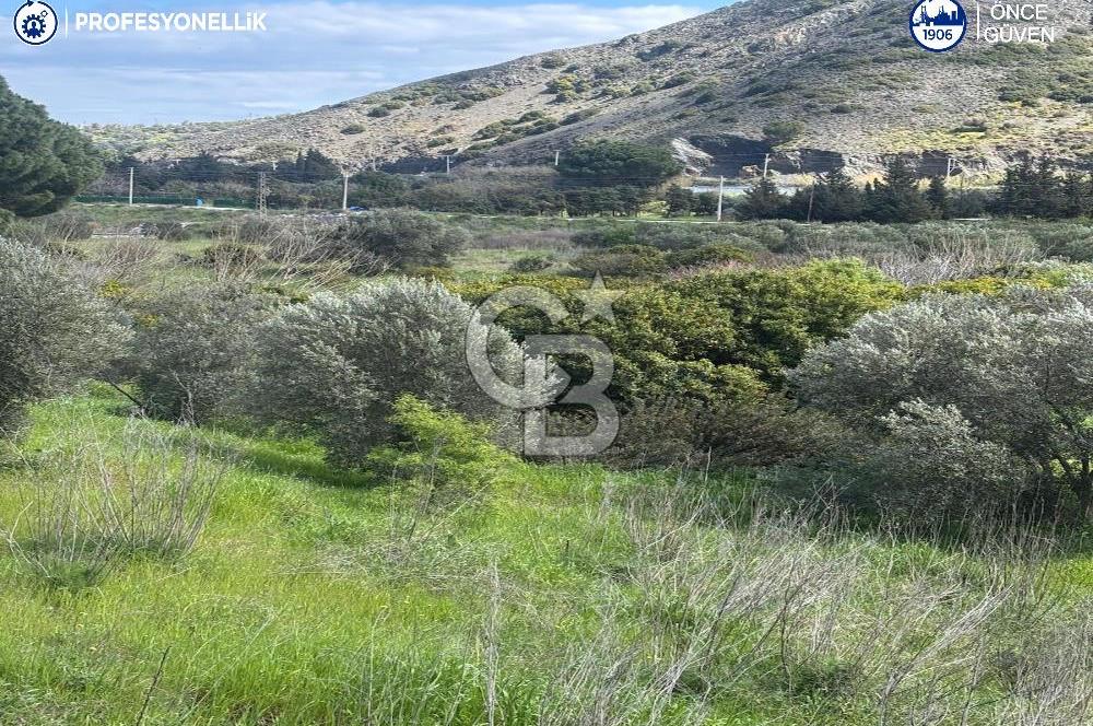 Karaburun Hasseki'de 9330 m² Satılık Tarla