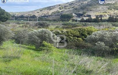 Karaburun Hasseki'de 9330 m² Satılık Tarla