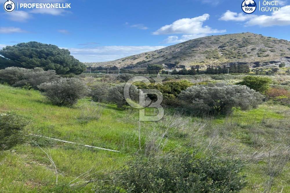 Karaburun Hasseki'de 9330 m² Satılık Tarla