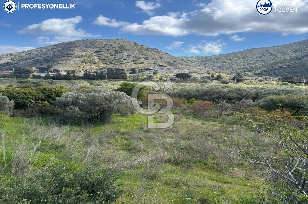 Karaburun Hasseki'de 9330 m² Satılık Tarla