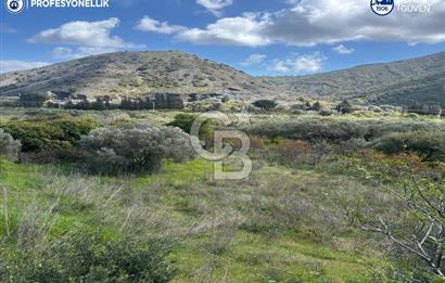 Karaburun Hasseki'de 9330 m² Satılık Tarla