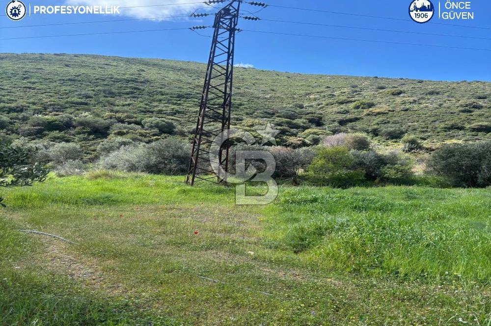 Karaburun Hasseki'de 9330 m² Satılık Tarla