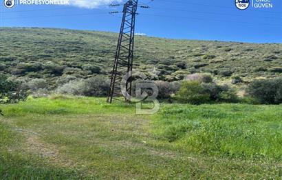 Karaburun Hasseki'de 9330 m² Satılık Tarla