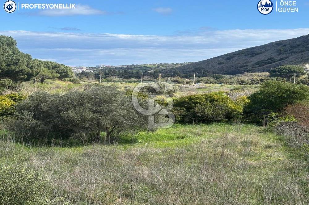 Karaburun Hasseki'de 9330 m² Satılık Tarla