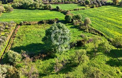 Datça Burgaz Arkası'nda 2.200 m² Bademlik