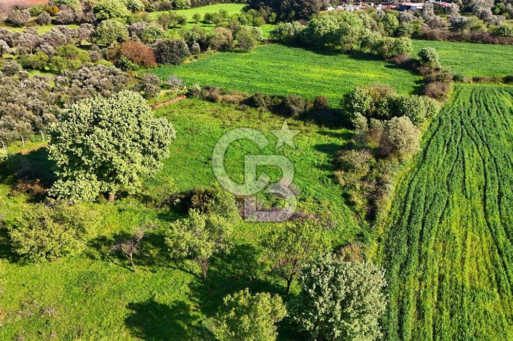 Datça Burgaz Arkası'nda 2.200 m² Bademlik