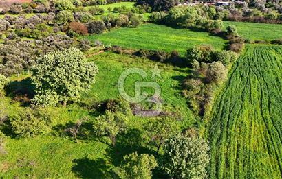 Datça Burgaz Arkası'nda 2.200 m² Bademlik