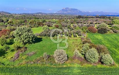 Datça Burgaz Arkası'nda 2.200 m² Bademlik