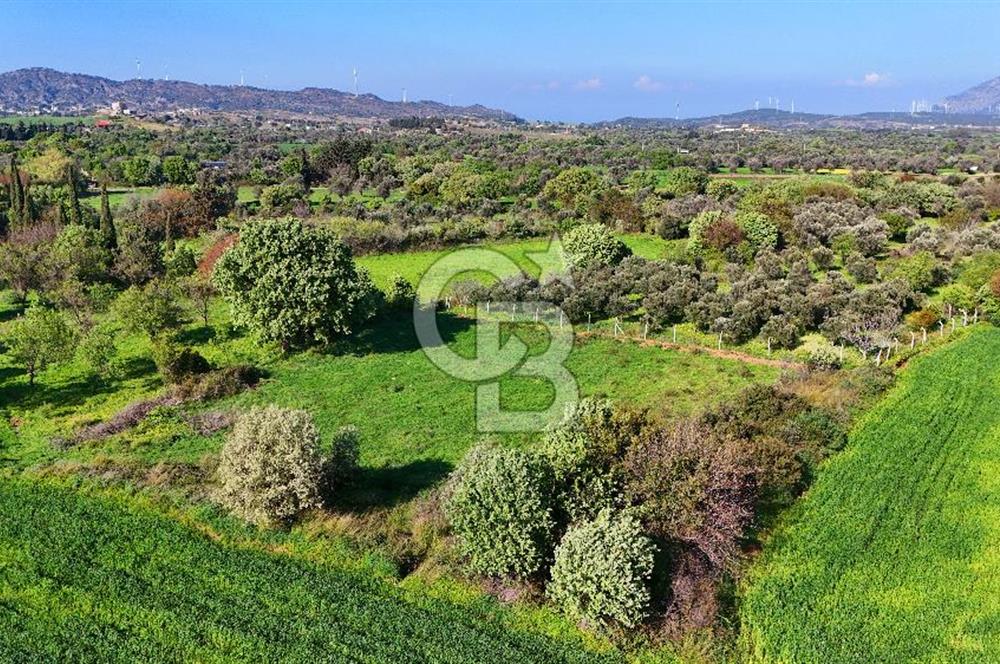 Datça Burgaz Arkası'nda 2.200 m² Bademlik