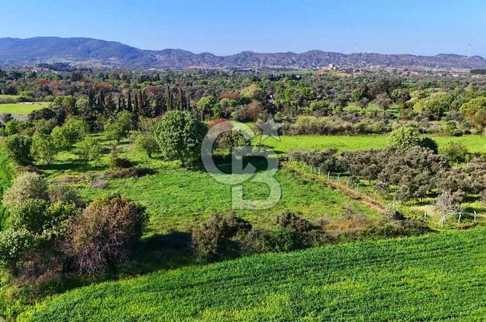 Datça Burgaz Arkası'nda 2.200 m² Bademlik