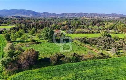 Datça Burgaz Arkası'nda 2.200 m² Bademlik