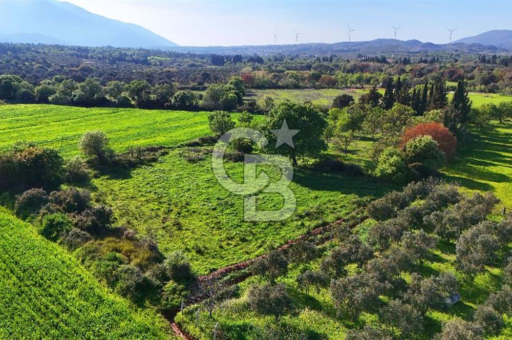 Datça Burgaz Arkası'nda 2.200 m² Bademlik