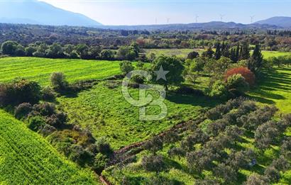 Datça Burgaz Arkası'nda 2.200 m² Bademlik