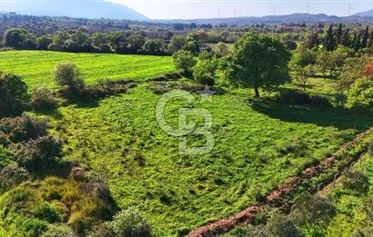 Datça Burgaz Arkası'nda 2.200 m² Bademlik