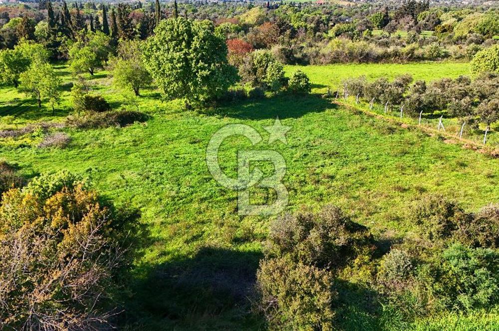 Datça Burgaz Arkası'nda 2.200 m² Bademlik