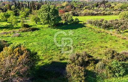 Datça Burgaz Arkası'nda 2.200 m² Bademlik