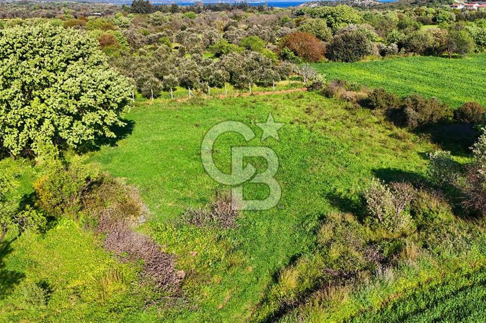 Datça Burgaz Arkası'nda 2.200 m² Bademlik