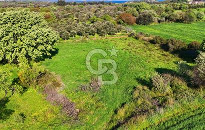 Datça Burgaz Arkası'nda 2.200 m² Bademlik