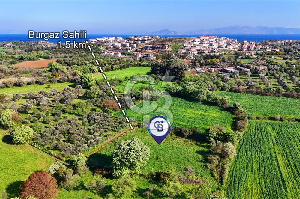 Datça Burgaz Arkası'nda 2.200 m² Bademlik