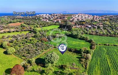 Datça Burgaz Arkası'nda 2.200 m² Bademlik