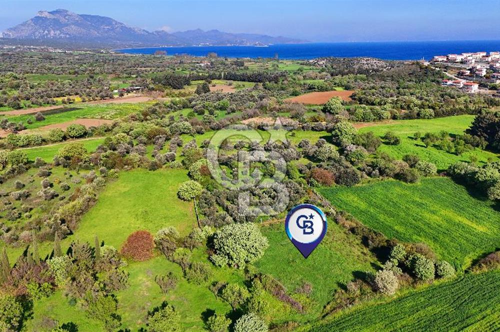 Datça Burgaz Arkası'nda 2.200 m² Bademlik