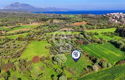 Datça Burgaz Arkası'nda 2.200 m² Bademlik