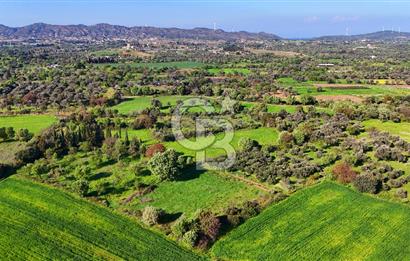 Datça Burgaz Arkası'nda 2.200 m² Bademlik