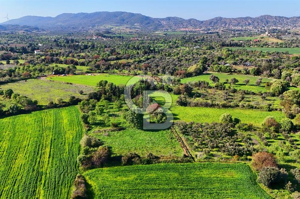 Datça Burgaz Arkası'nda 2.200 m² Bademlik