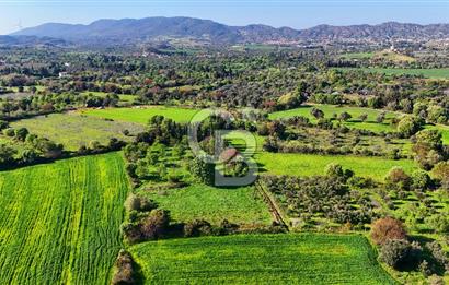 Datça Burgaz Arkası'nda 2.200 m² Bademlik