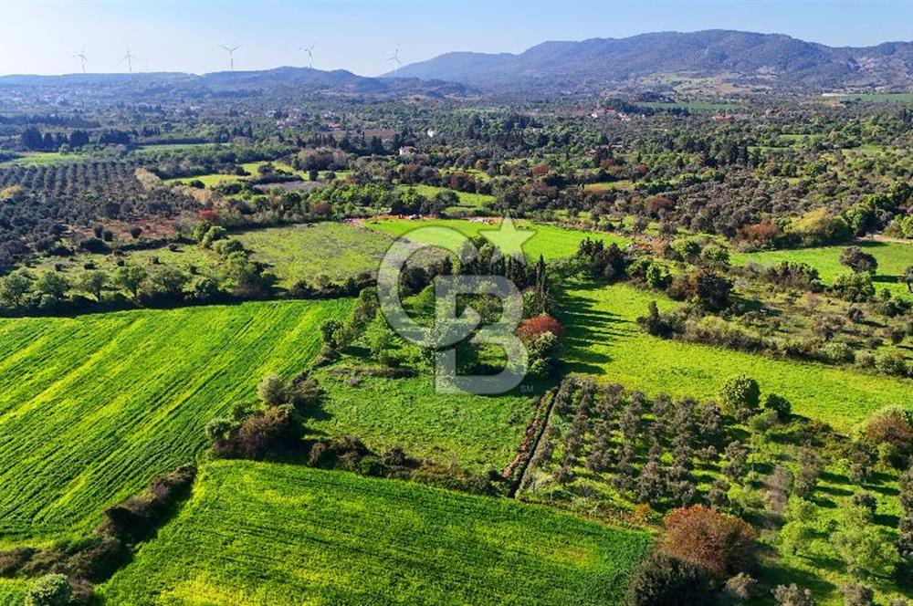 Datça Burgaz Arkası'nda 2.200 m² Bademlik