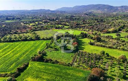 Datça Burgaz Arkası'nda 2.200 m² Bademlik