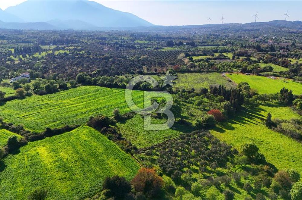 Datça Burgaz Arkası'nda 2.200 m² Bademlik